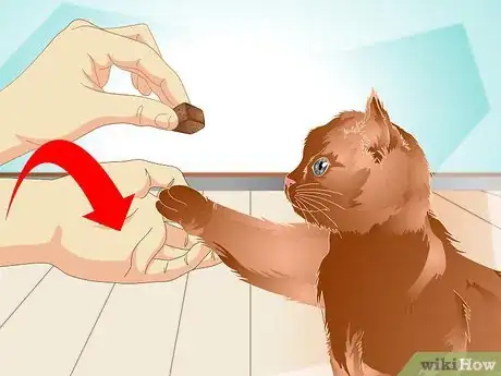 Image intitulée Teach a Cat to "High Five" Step 27